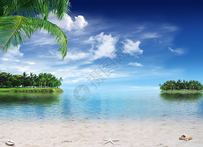 热带天堂热带岛屿上带有棕榈树和贝图片