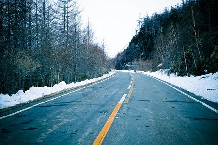 冬季户外穿过森林的道路图片