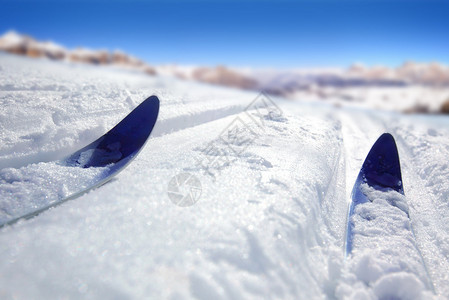 越野滑雪近景图片