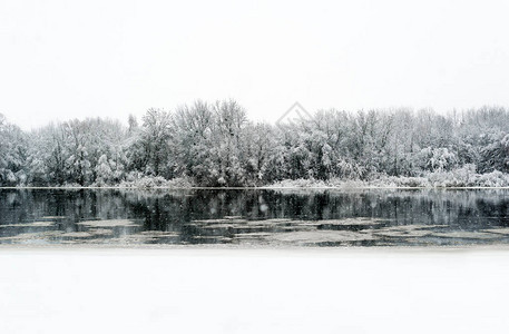 冬天的河流和树枝都覆盖着白霜图片