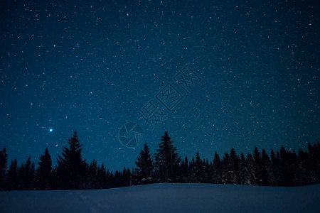 在繁星点的冬季天空背景下的圣诞树图片