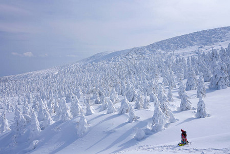 日本山形藏王山的雪怪藏王是东北最大的滑雪胜地之一在冬天图片