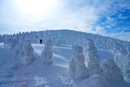 东北八大怪日本山形藏王山的雪怪藏王是东北地区最大的滑雪场之一在冬天背景