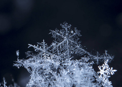 雪上的雪花图片是在8C背景图片