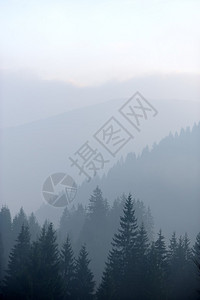山林和雾图片
