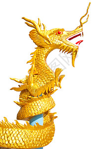 白色背景的泰国风格的金背景图片