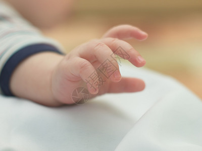 小孩子的手婴儿的手图片