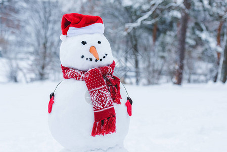 在圣塔帽围巾和小手套I冬季公园的雪人近背景图片