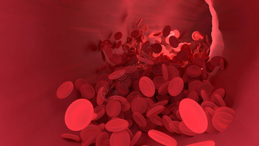 身体血管中的红血细胞学校教育的科学图象图片