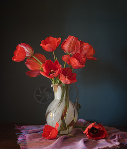 花瓶里的红色郁金香图片