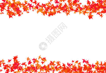 纹理红色的枫叶编织成路边框架秋天隆突祝贺与白色基地图片