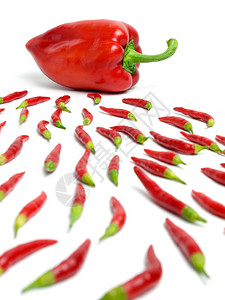 用胡椒和辣椒来比喻受精的观点图片
