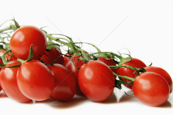 红樱桃西红番茄有图片