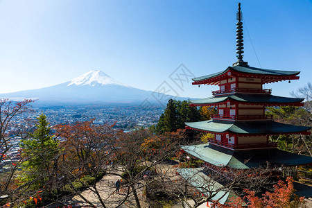 Chureito红塔和富士山图片