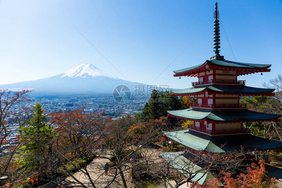 Chureito红塔和富士山图片