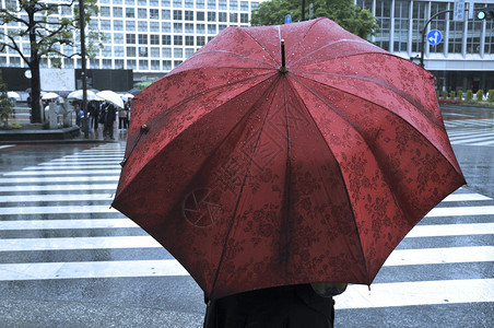 在东京等待斑马线的红伞女人专注于伞图片