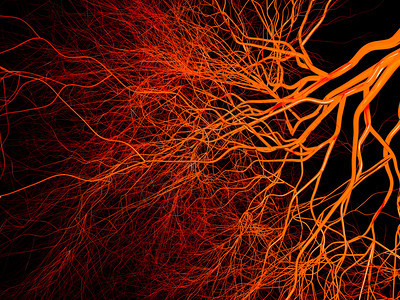 放大神经或血液系统医学3d插图图片