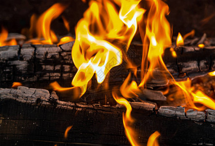 烧焦的木炭中的橙色火焰燃烧图片