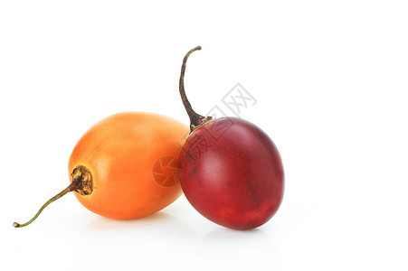 树番茄罗望子图片