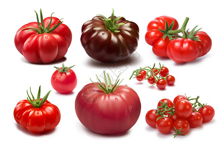 不同番茄品种的集合各种形状和颜色传家宝西红柿剪切路径图片