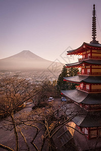 日本红塔东京浅草寺圣雄佛图片