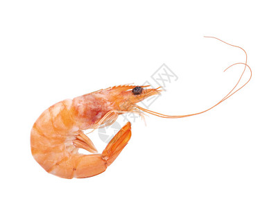 白色背景中分离出的红熟虾或虎虾背景图片