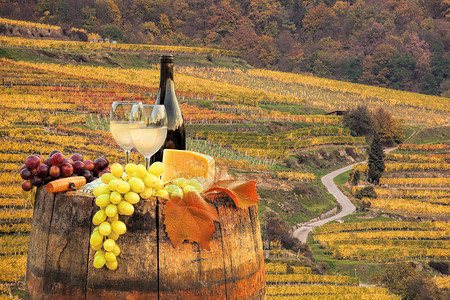 白葡萄酒在奥地利斯皮茨瓦绍的著名葡图片素材