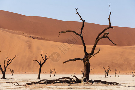 纳米比亚沙漠中隐藏谷的美丽日出景观图片