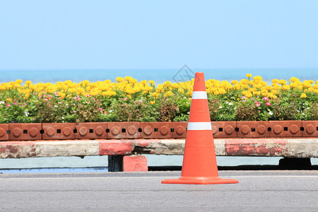 花卉和海景背道路上的交通锥图片