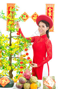 越南女孩装饰越南新年树花图片