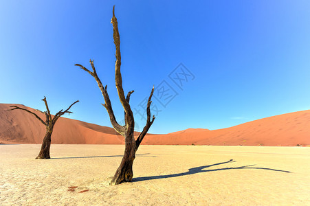纳米比亚NamibNaukluft公园纳米布沙漠南部图片