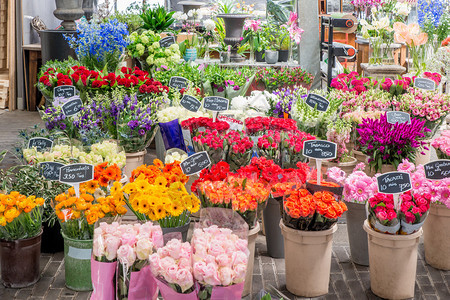花卉市场上出售的鲜花图片