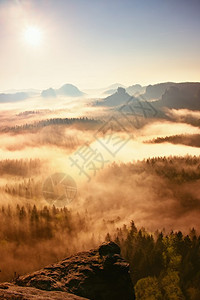 梦幻般的迷雾森林景观雄伟的古树山峰切断了照明薄雾深谷弥漫着五彩的雾气图片