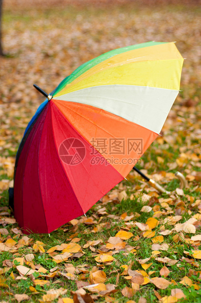 在绿草和黄色秋叶背景的彩虹伞图片