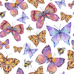 水色天然多彩蝴蝶无缝模式白色背景的背景图片