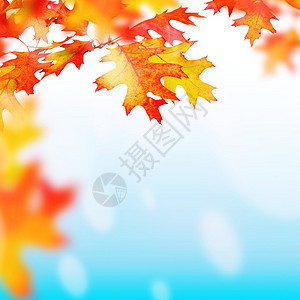关于秋季主题设计的背景图片
