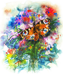 蝴蝶孔雀水彩和柔的插图图片