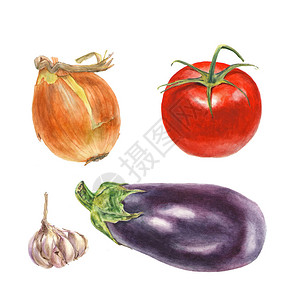 洋葱番茄大蒜白背景黄豆等植物水颜色图解图片