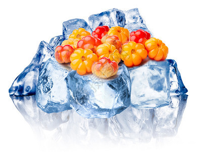 野生云莓堆在粗糙的碎冰上结冰云莓FG冰BG冰反射和整个复合材图片