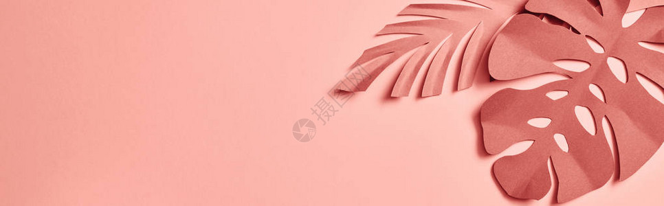 粉红背景的棕榈叶涂上粉红色背景的纸图片