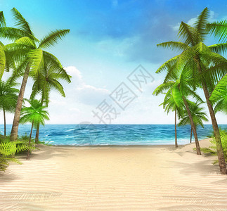 带有热带棕榈的沙海滩滨海上休假图片