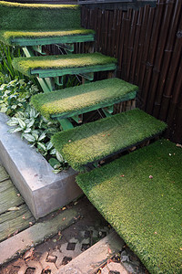 花园的绿草楼梯室内图片