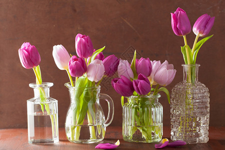 花瓶里美丽的紫色郁金香花束图片