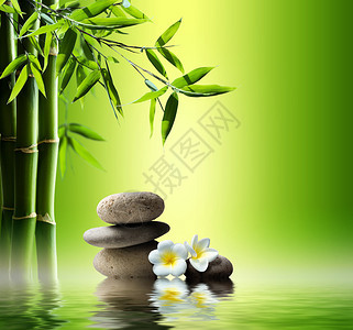 带竹子和石头在水面图片
