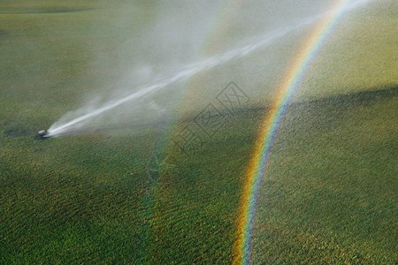 带彩虹的高尔夫球场自动草坪洒水器图片
