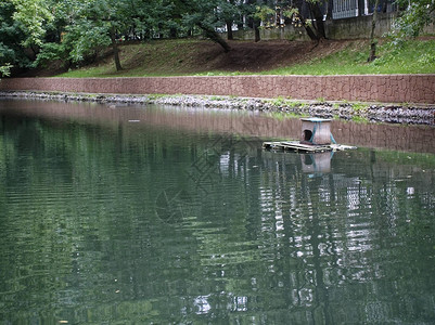 莫斯科小池塘夏天在图片