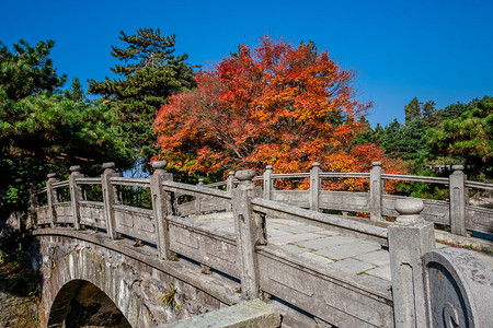 古桥与秋天的树木图片