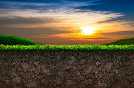 日落背景中的土壤和绿草图片