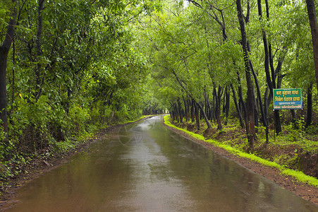 印度季风下雨季在印度的Kon图片