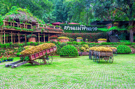 MaefahLuang花园位于泰国清莱的Do图片
